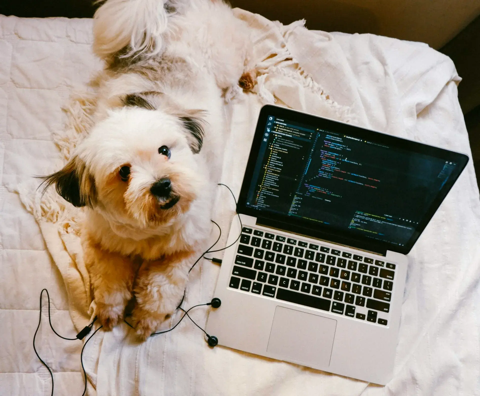 Cover image for Amazon Q - The AI DevOps Tool That Fixes AWS Headaches